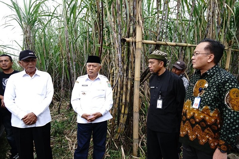 Bupati Sanusi Commits to Developing Cening Sugarcane Variety in Malang