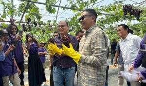 Polbangtan Malang Campus II Transformed into Grape-Picking Tourism and Education Hub