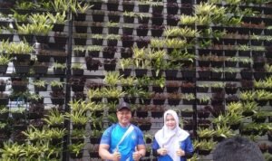 Vertical Garden FTP UB