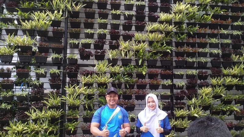 Vertical Garden FTP UB