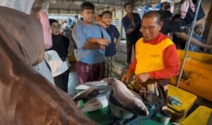 054-Gresik Pasar Bandeng Gresik Pasar Bandeng Festival 2026: Songolikur Night Revives 15th-Century Tradition with Modern Festivities
