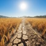 Governor Khofifah Coordinates with BNPB to Prepare East Java for the Severe Drought Threat