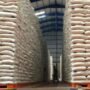 Government Rice Reserves Hit Record 4.4 Million Tons, Fully Prepared for El Niño 2026