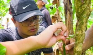 FMIPA UB Students Participate in Banyuwangi Coffee Learning Program Summer Course