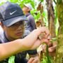 FMIPA UB Students Participate in Banyuwangi Coffee Learning Program Summer Course