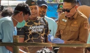 Malang City Mayor Wahyu Hidayat Inspects Sacrificial Animals Ahead of Eid al-Adha