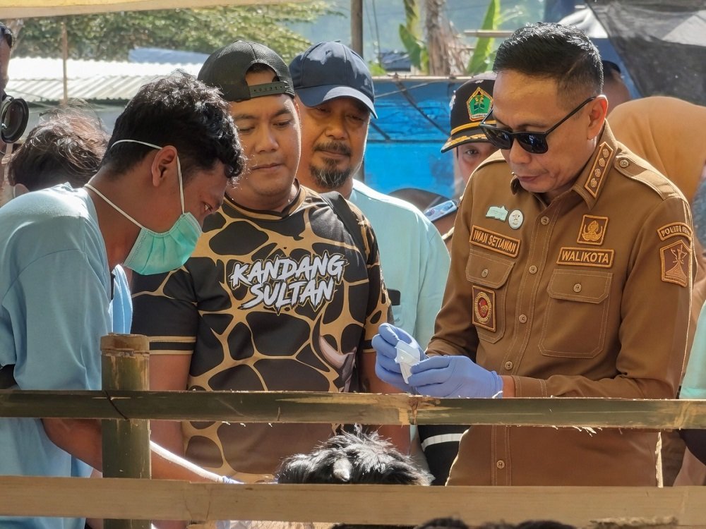 Eid Adha malang Malang City Mayor Wahyu Hidayat Inspects Sacrificial Animals Ahead of Eid al-Adha