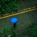 BMKG Forecast: Lower Rain Level in the Coming Week