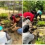 UM Lecturers Hold Mangrove Nursery at CMC Tiga Warna
