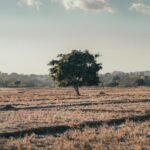 BMKG Claims El Niño 2026 May Persist Until Early 2027