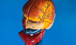 Early Prevention of Liver Damage, Here is What You Should Know