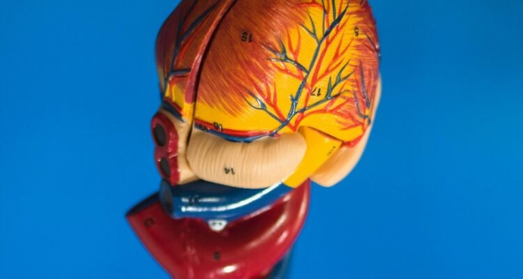 Early Prevention of Liver Damage, Here is What You Should Know