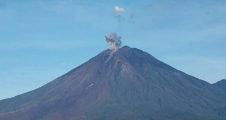 Mount Semeru Erupts: Public Urged to Keep Distance from Hazard Zones