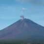 Mount Semeru Erupts: Public Urged to Keep Distance from Hazard Zones