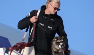 A Taxidermy Raccoon Becomes Ultimate World Cup 2026 Souvenir for Erling Haaland