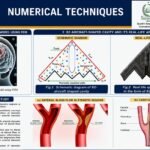 fstem ub Undergraduate Mathematics Study Program FSTEM UB Holds a Series of Adjunct Professor Lectures