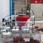 Reducing Post-Harvest Losses of Cherry Tomatoes, UB Lecturers Develop Ozone and Hypobaric Technology