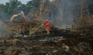 BPBD RIau Forest Fires Regional Disaster Management