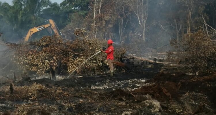 Regional Disaster Management