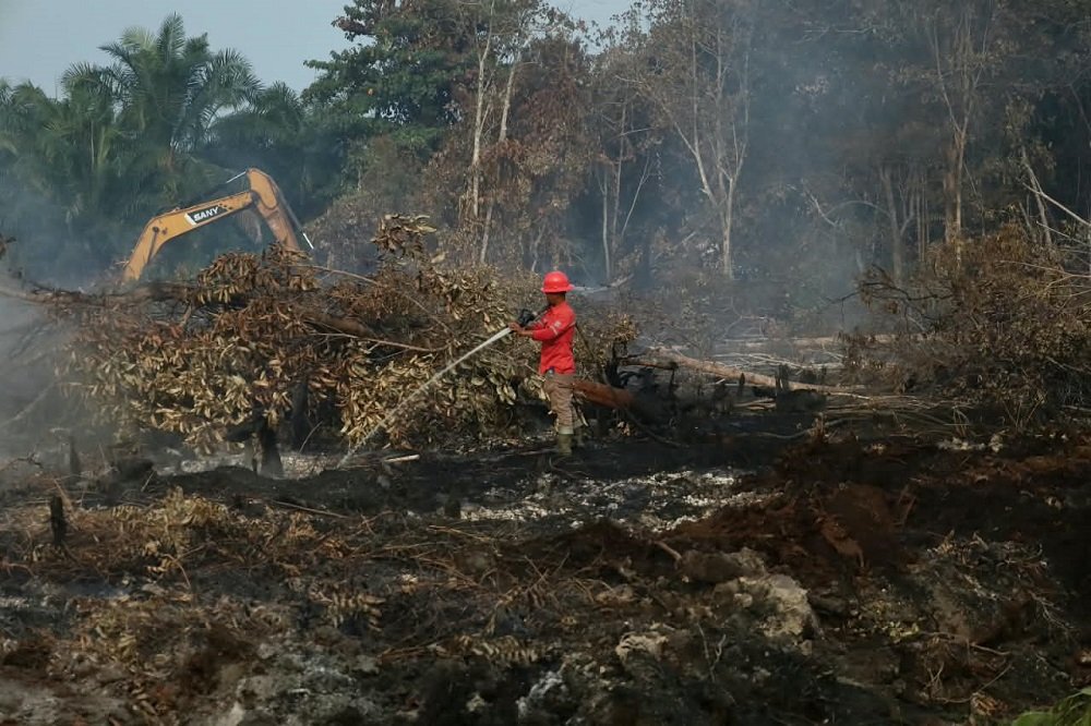 BPBD RIau Forest Fires Regional Disaster Management