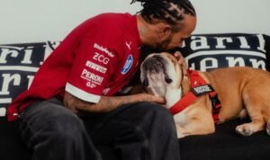 Lewis Hamilton Roscoe Lewis Hamilton Marks One-Year Anniversary of the Passing of Roscoe with Emotional Tribute
