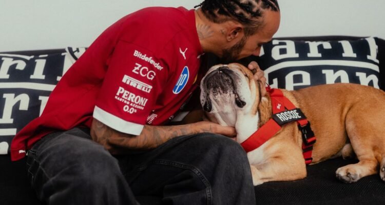 Lewis Hamilton Marks One-Year Anniversary of the Passing of Roscoe with Emotional Tribute