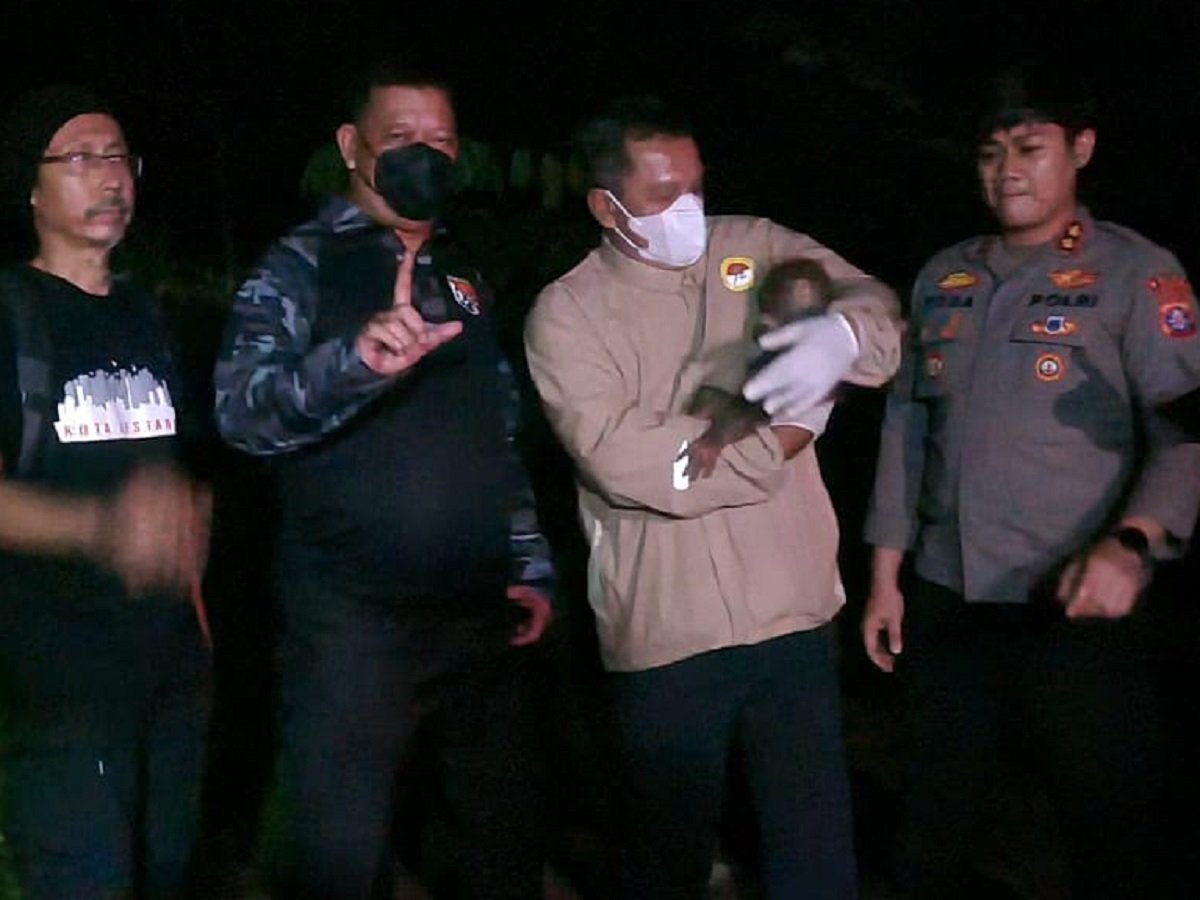 Injured Mother Orangutan and Baby Rescued in Central Kalimantan