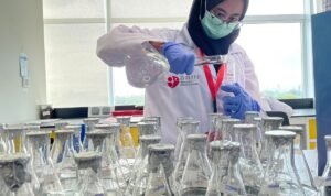 UB STARS Seed Research on Biodegradable Microplastics Published in International Q1 Journal