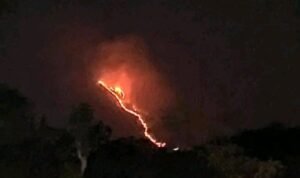Forest Fire Breaks Out on Peak of Mount Arjuno at East Java, Flames Visible from Toll Road